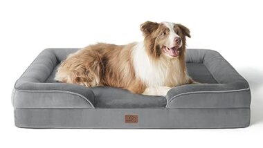 Best Dog Bedding