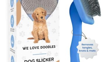 Best Dog Brush for Golden Doodle