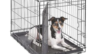 Best Dog Crate