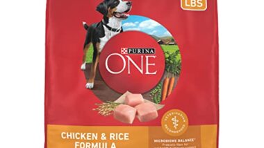 Best Dog Food for Best Price