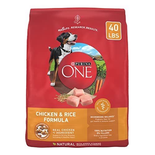 Best Dog Food for Best Price