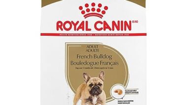 Best Dog Food French Bulldogs