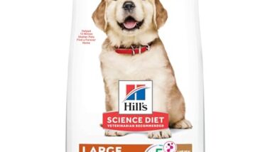 Best Dog Food Puppy Large Breed