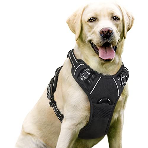 Best Dog Harness