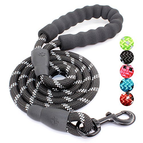 Best Dog Leash