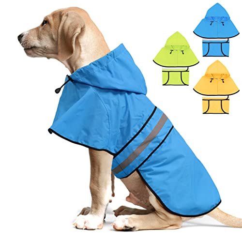 Best Dog Rain Gear