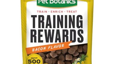 Best Dog Training Treat