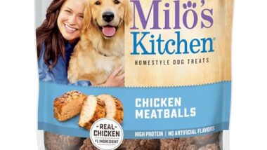 Best Dog Treats for Dogs