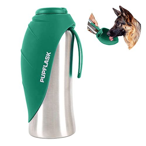 Best Dog Water Bottles for Hiking