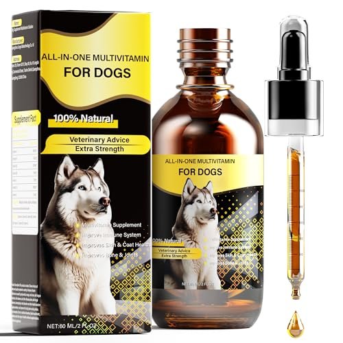 Best Joint Supplement for Dogs