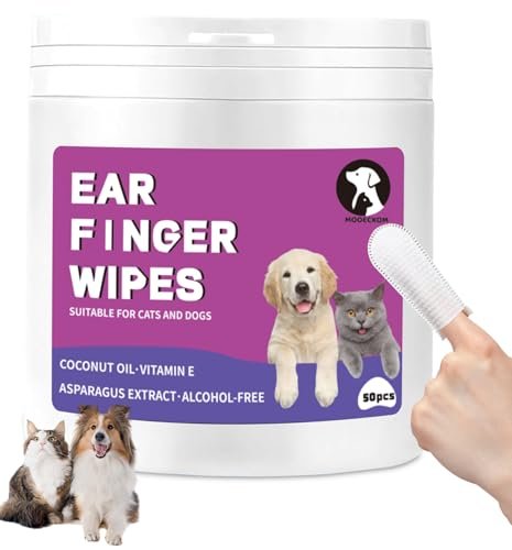 Ear Infection Treatment for Dogs