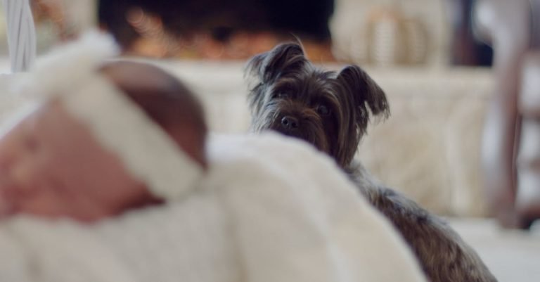 Mint Dental Chews for Fresh Breath and Clean Teeth