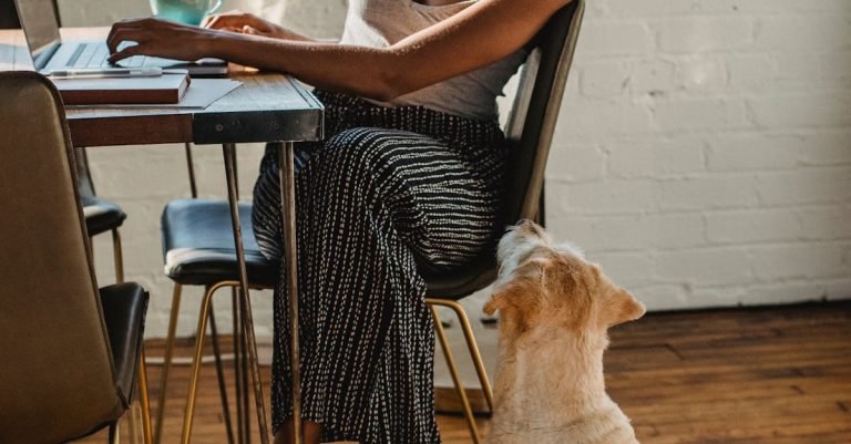 Pet Hair Remover: Keep Your Home Fur-Free