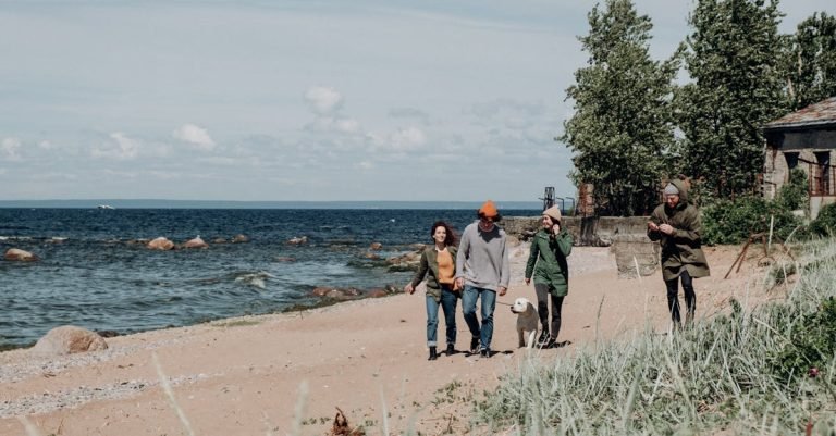 Dog Nail Clippers for Easy, Safe Trims