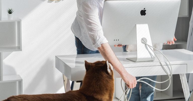 Dog Bark Control Device for Quiet, Peaceful Living