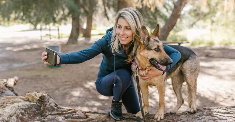 Reflective Dog Collar for Safe Night Walks