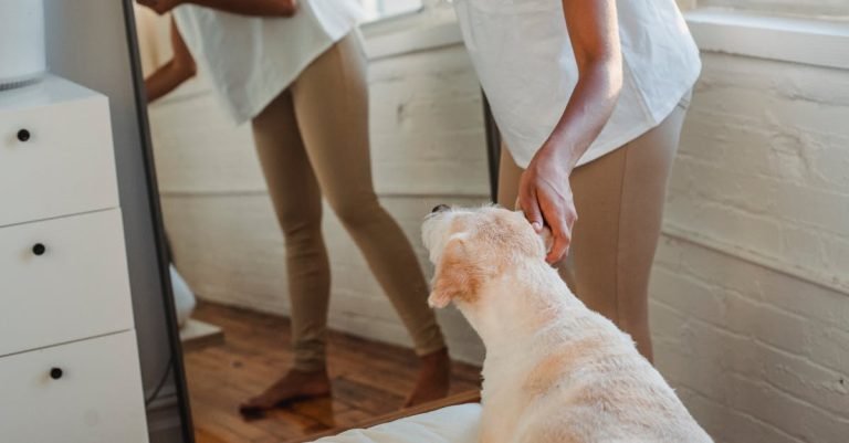 Dog Dental Chews for Fresh Breath and Clean Teeth