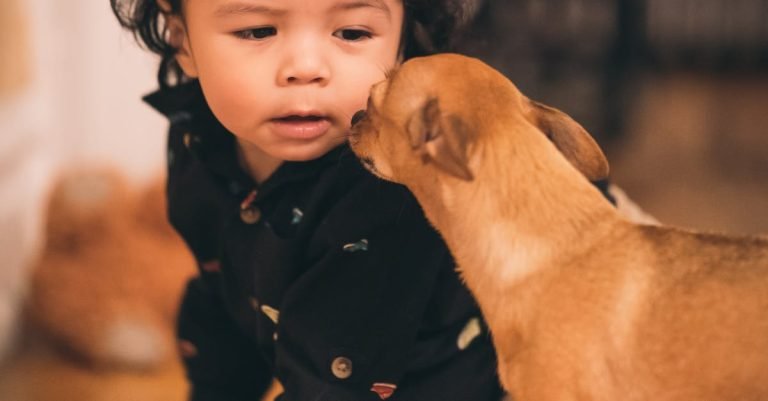 Mini Dog Treats for Training and Rewards