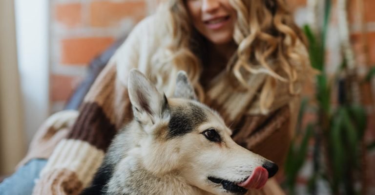 Effective Pet Odor Eliminator for a Fresh Home