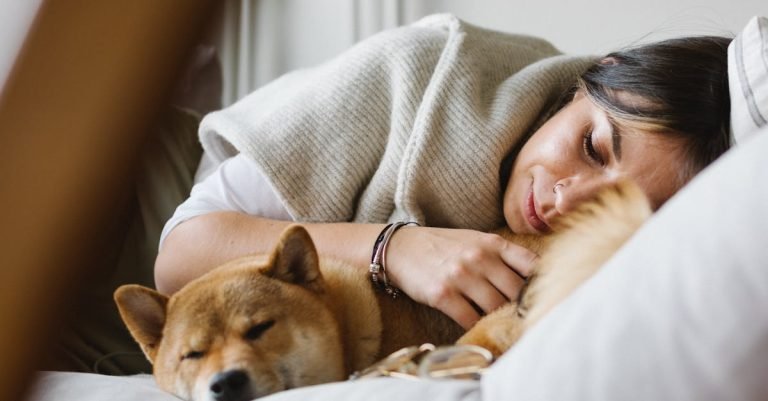 Lamb and Rice Dog Food for Sensitive Digestion