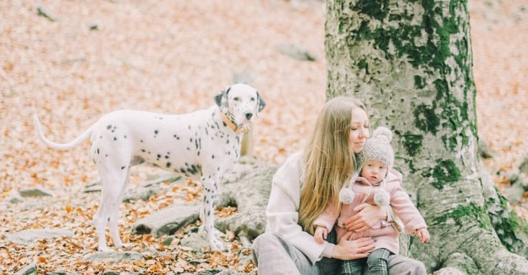 Chicken Flavor Pill Pockets: Make Medication Easy