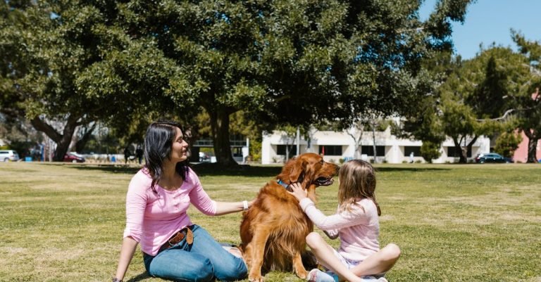 Male Dog Wraps for Secure, Leak-Proof Protection