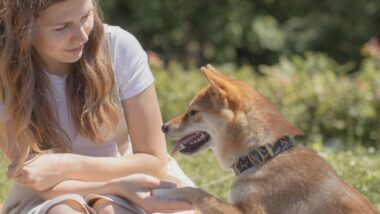 Natural Dog Food: The Healthiest Choice for Your Dog's Diet