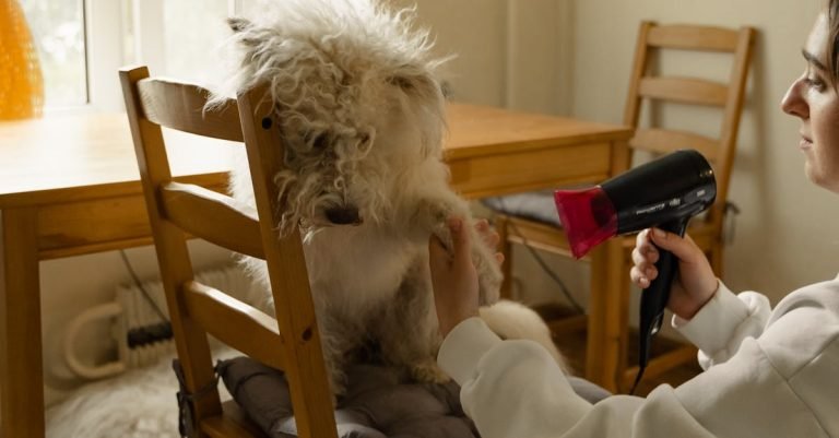 Crinkle Dog Toys for Fun and Mess-Free Playtime