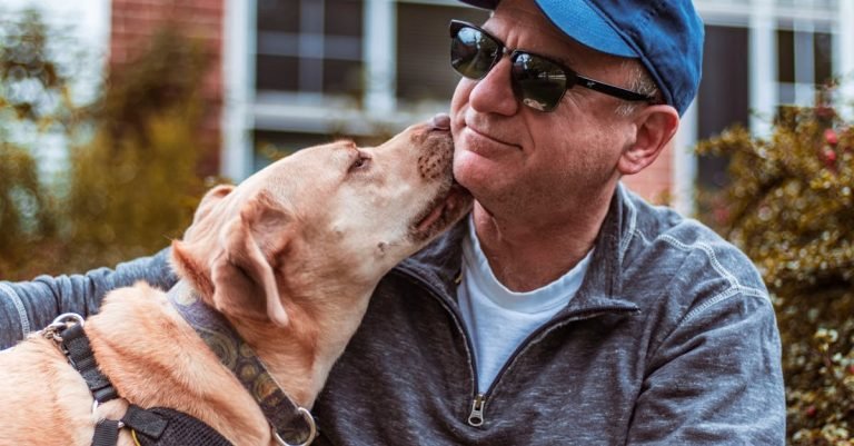 Best Pet Grooming Wipes for a Quick Clean