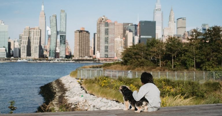 Soft Dog Treats for Small and Senior Dogs