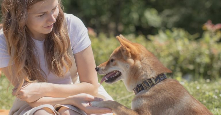 Natural Dog Food: The Healthiest Choice for Your Dog's Diet